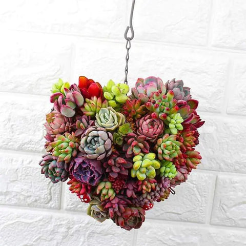 Succulent Heart Holder