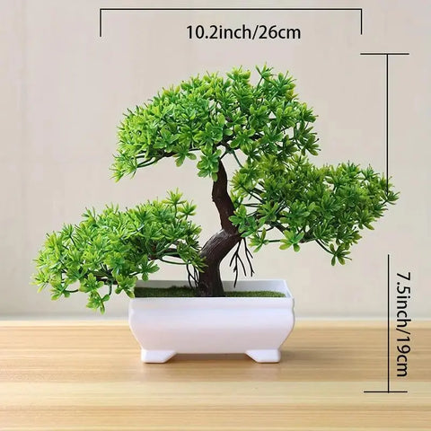 Small Bonsai Tree