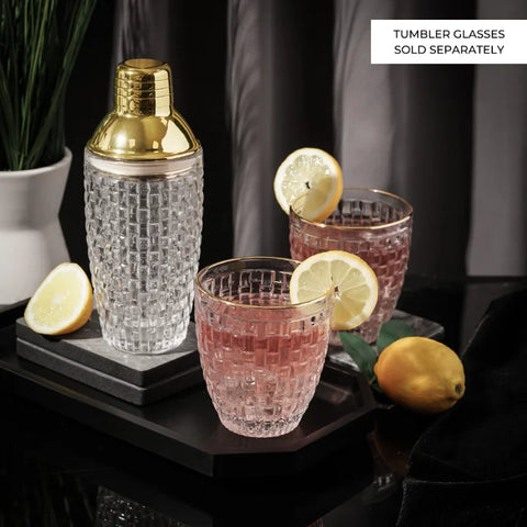 Glass Cocktail Shaker Kit