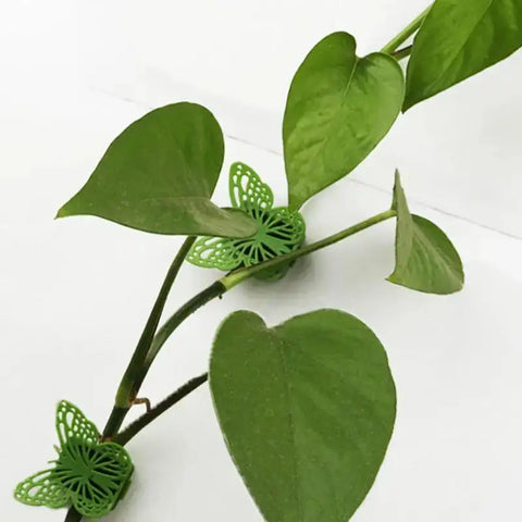 Plant Clips Self-Adhesive Hooks