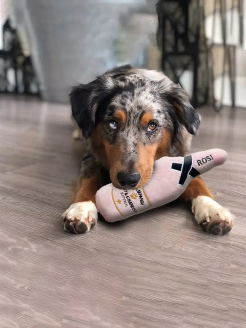 Whiskey Beer Dog Toy